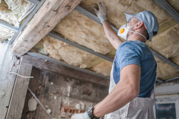 Best Insulation Repair Services  in West, TX