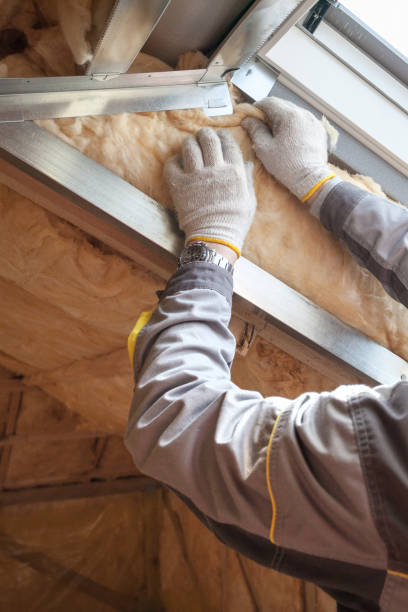 Best Wall Insulation Contractor  in West, TX