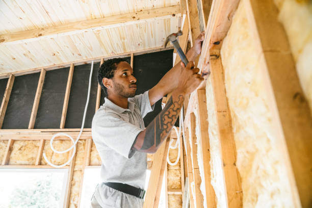 Best Home Insulation Services  in West, TX
