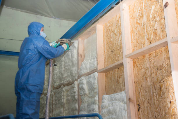 Best Insulation for New Construction  in West, TX
