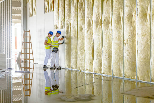 Best Attic Insulation Installation  in West, TX